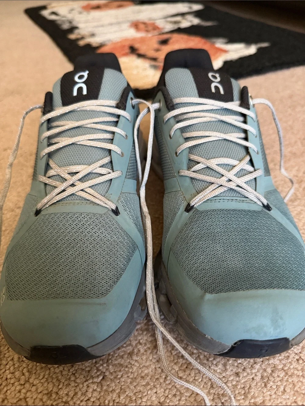 Excellent used condition- Womens 9.5 On cloud Cloudflyer Shoes- Waterproof